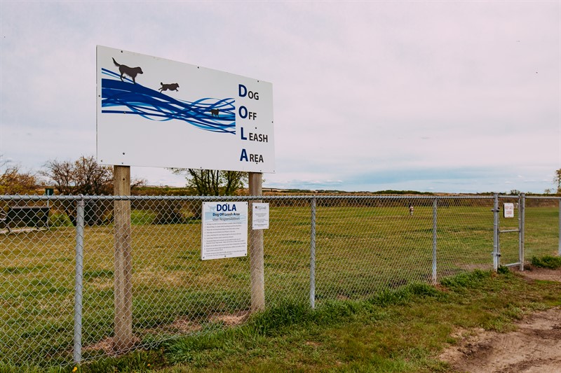 Dog Off Leash Area