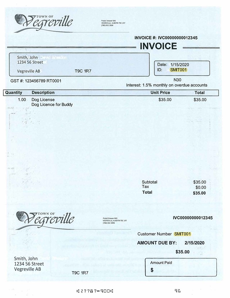 Dog License Invoice